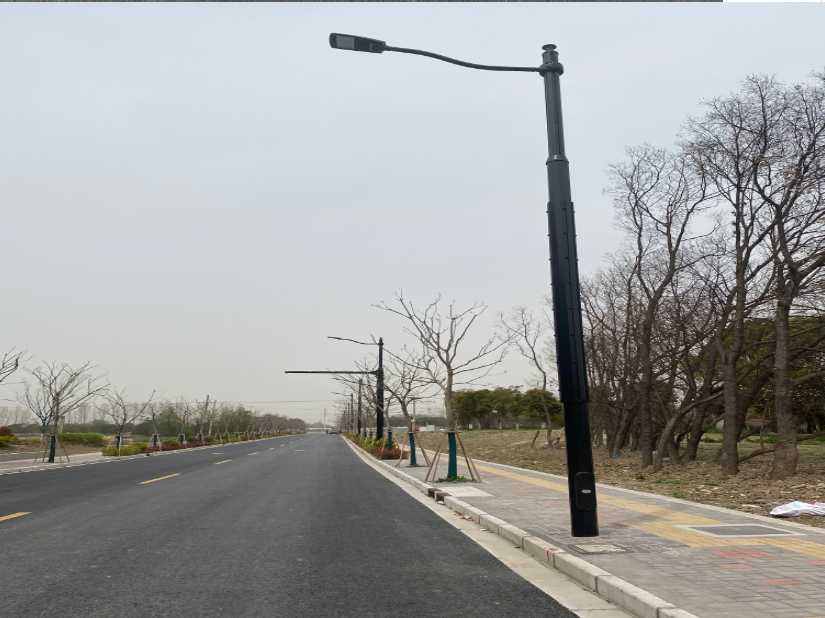 武平县上海综合杆 太阳能路灯工程